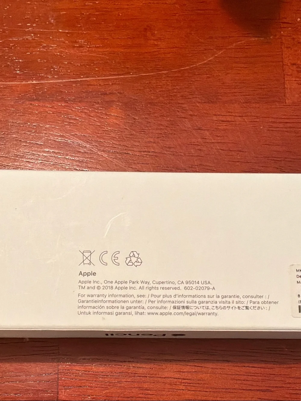 Apple Pencil (Stylus)